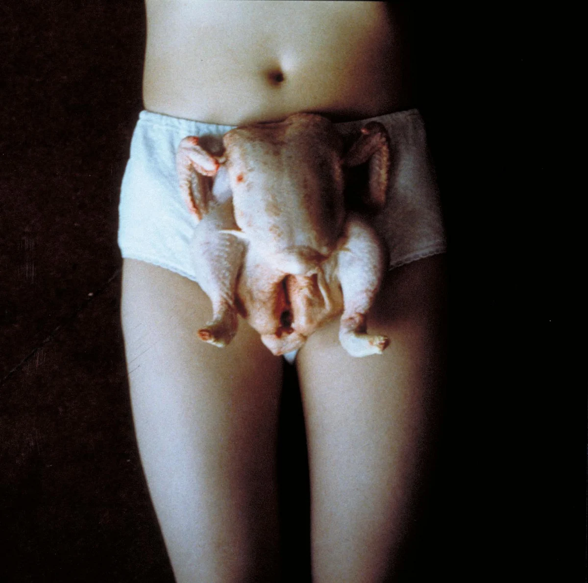 Sarah Lucas,
Chicken Knickers (1997)