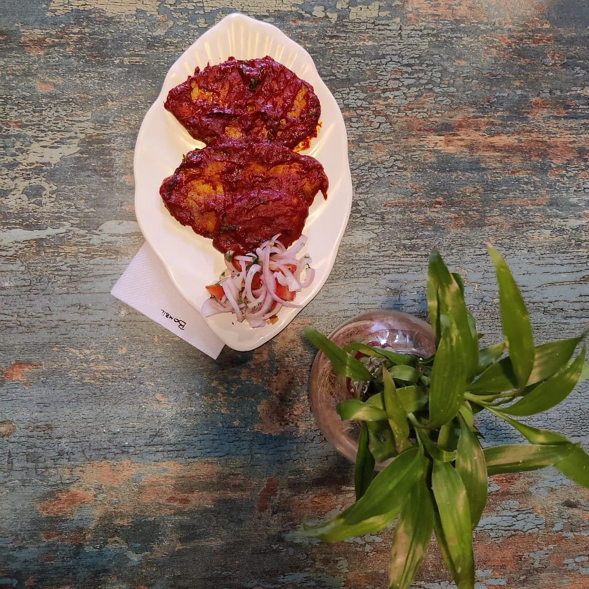 Kingfish fry