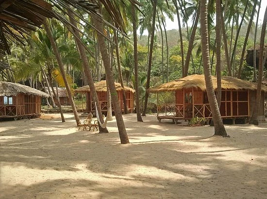 <div class="paragraphs"><p>Little Cove Yoga Holiday Retreat, Canacona</p></div>