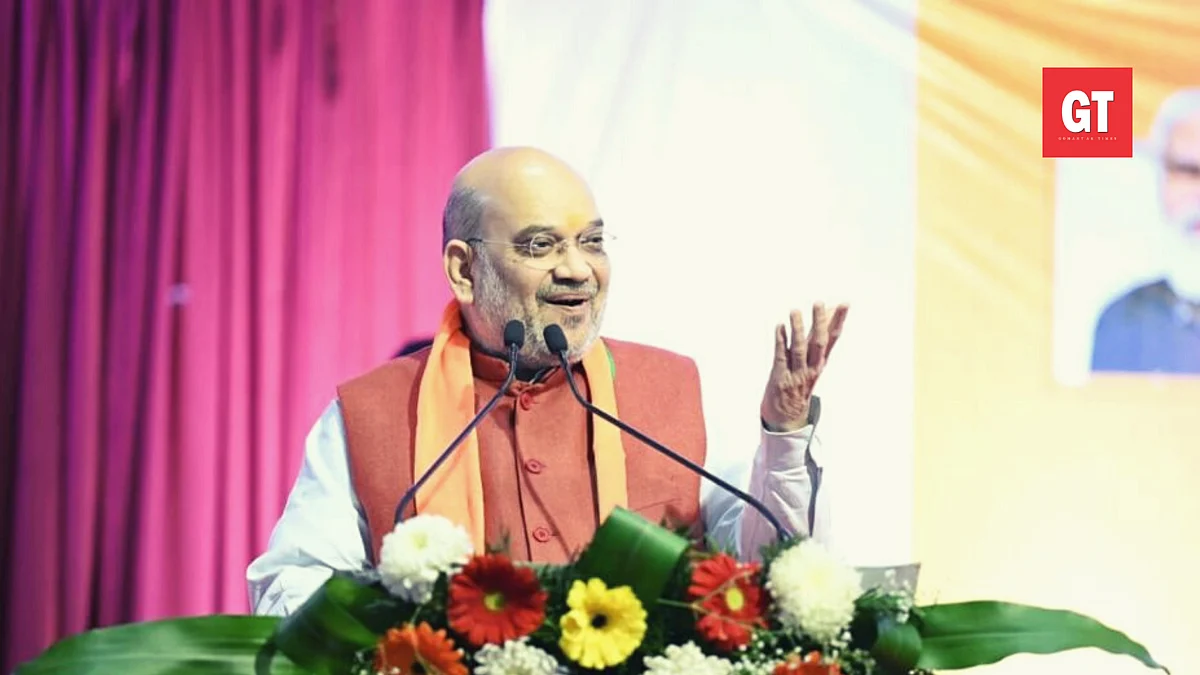 Education hub, industrial development: Amit Shah's poll pitch in Goa