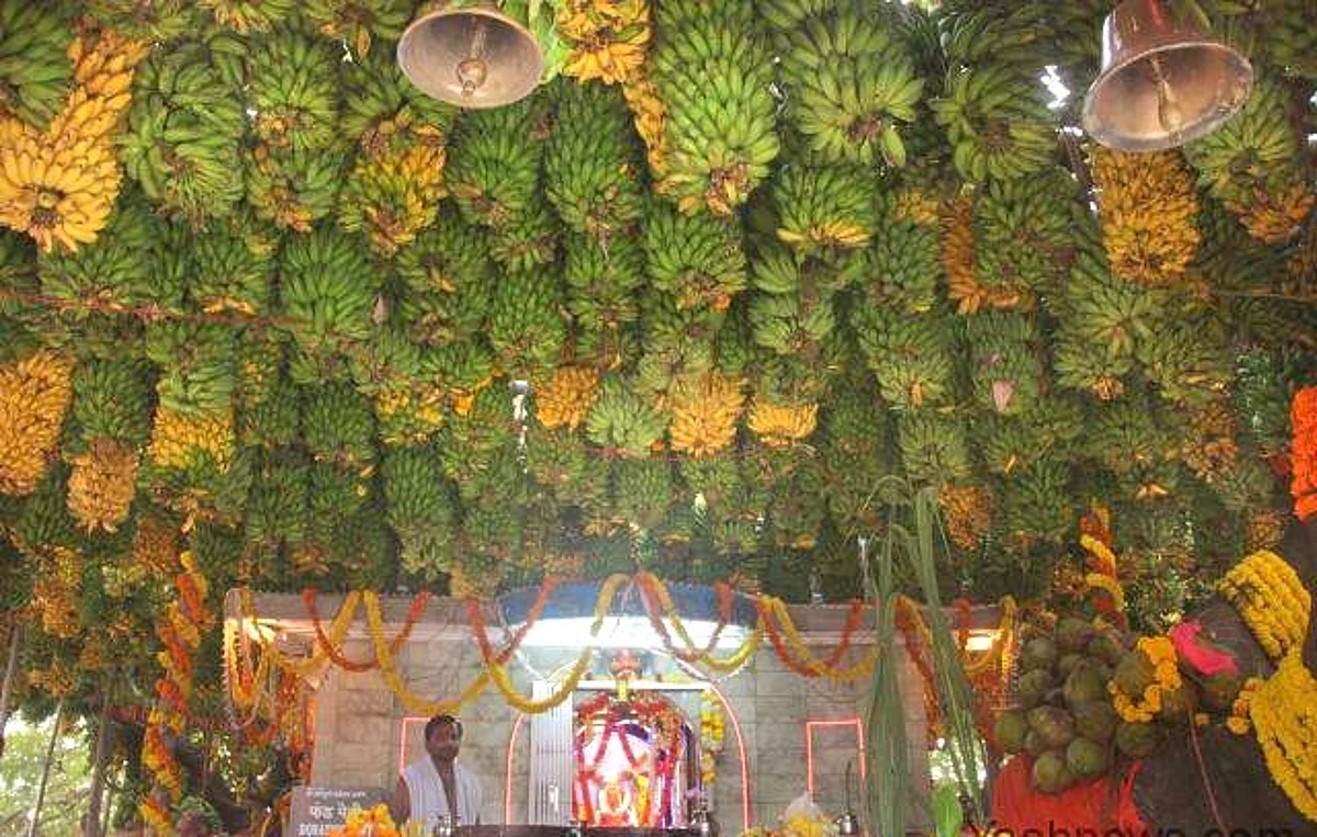 At this festival in Goa, there is always a canopy of bananas!