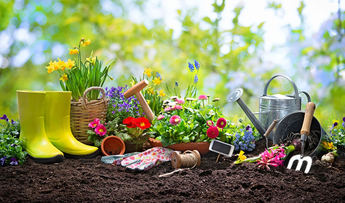 Things to do: Learn Portuguese, enter a garden contest and eat free pizza