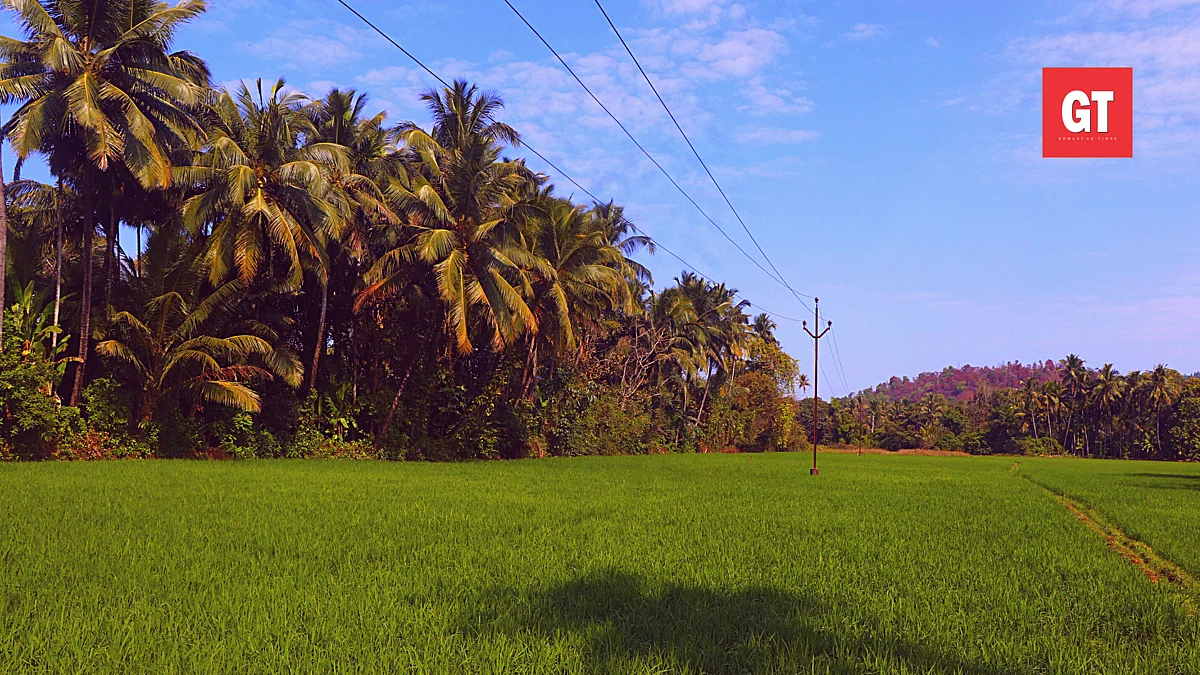 Panel to study traditional methods for Goa's biodiversity conversation