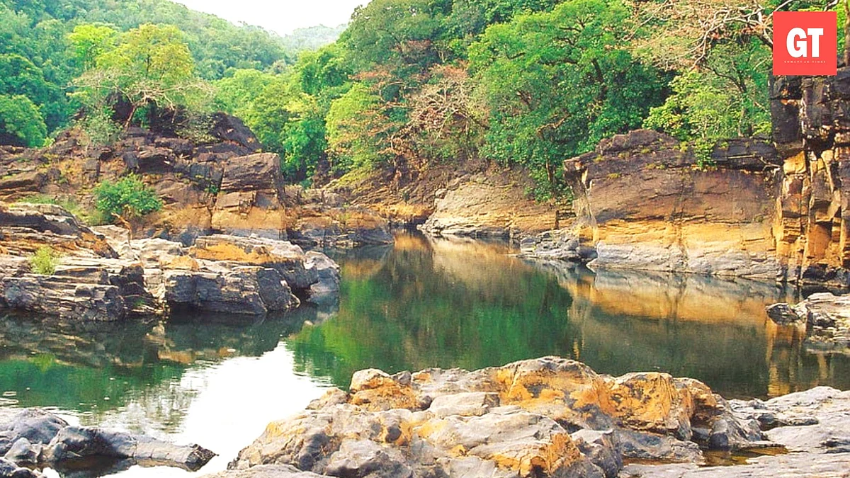 Cotigao Wildlife Sanctuary is located in Canacona taluka