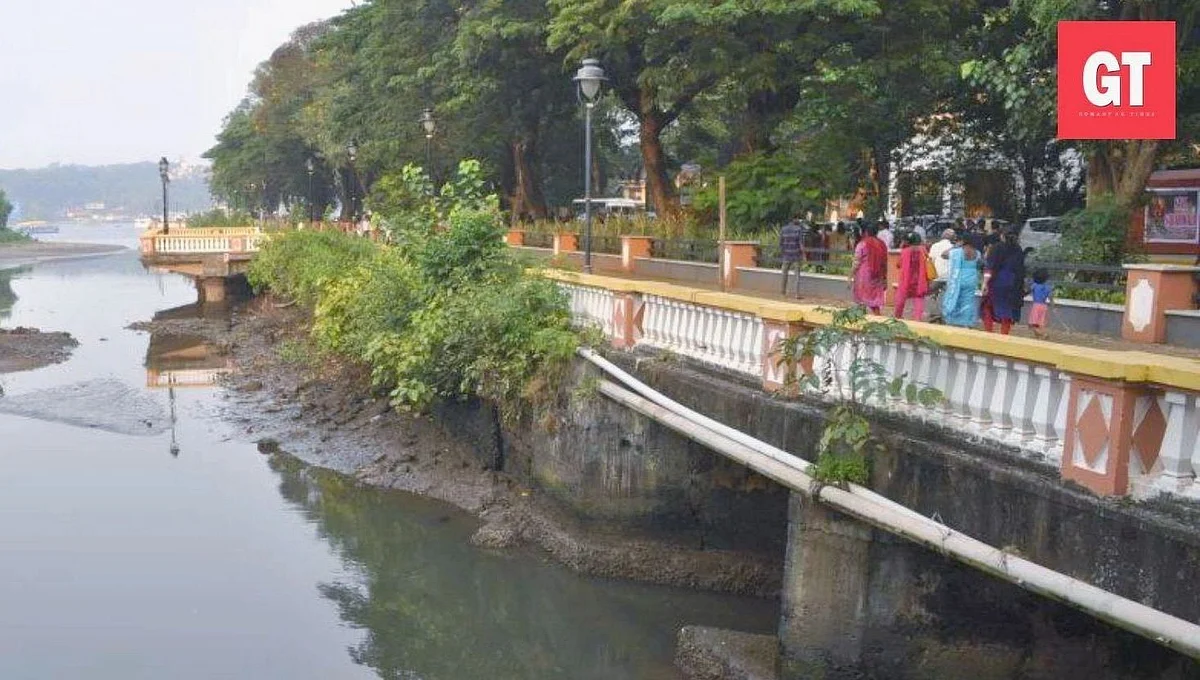 Things to do: Join a book discussion, and learn about St Inez Creek