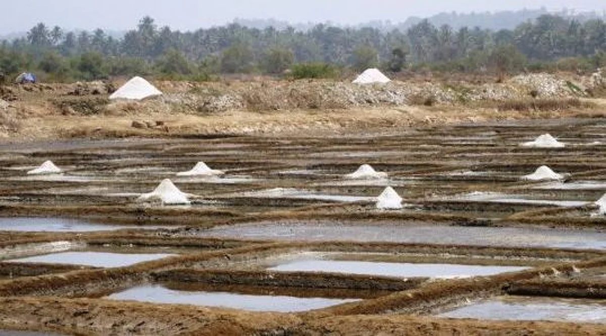 Things to do: Go on a salt pan walk