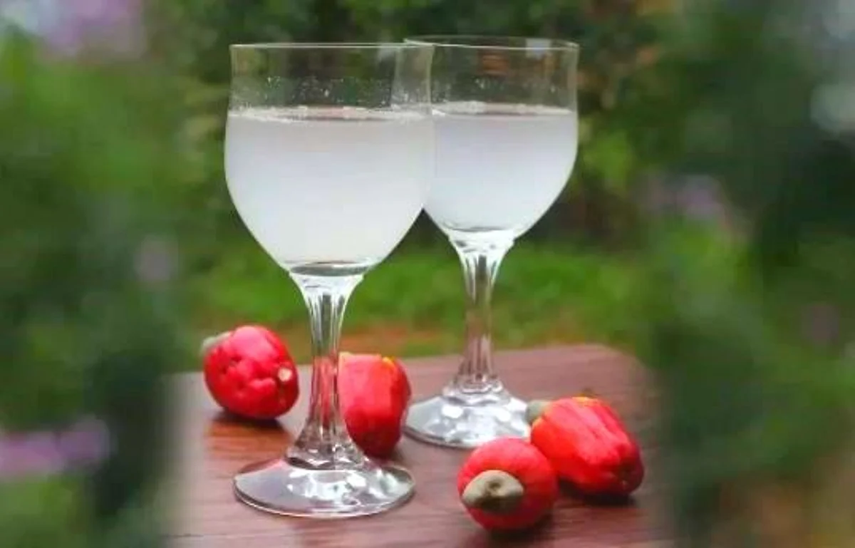 Relish the lost recipes of Goa