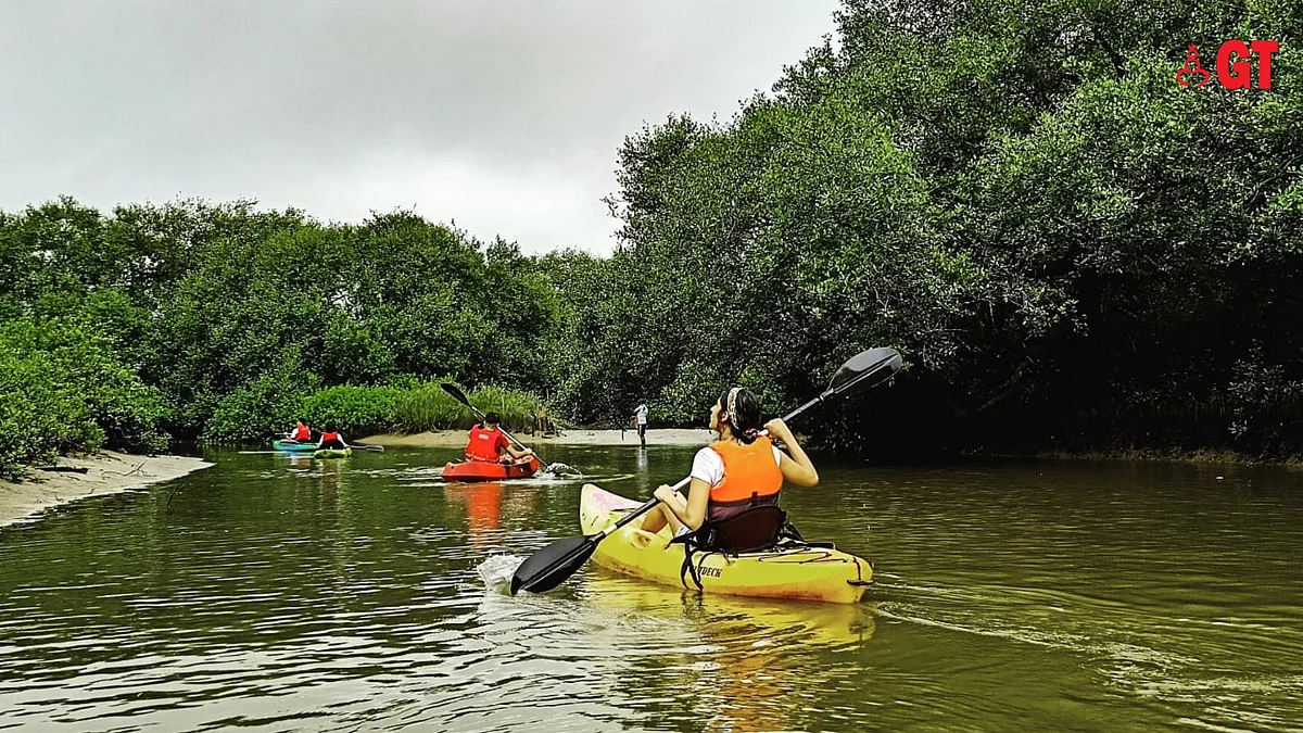 Done with beaches? Now take a kayak trip in Goa