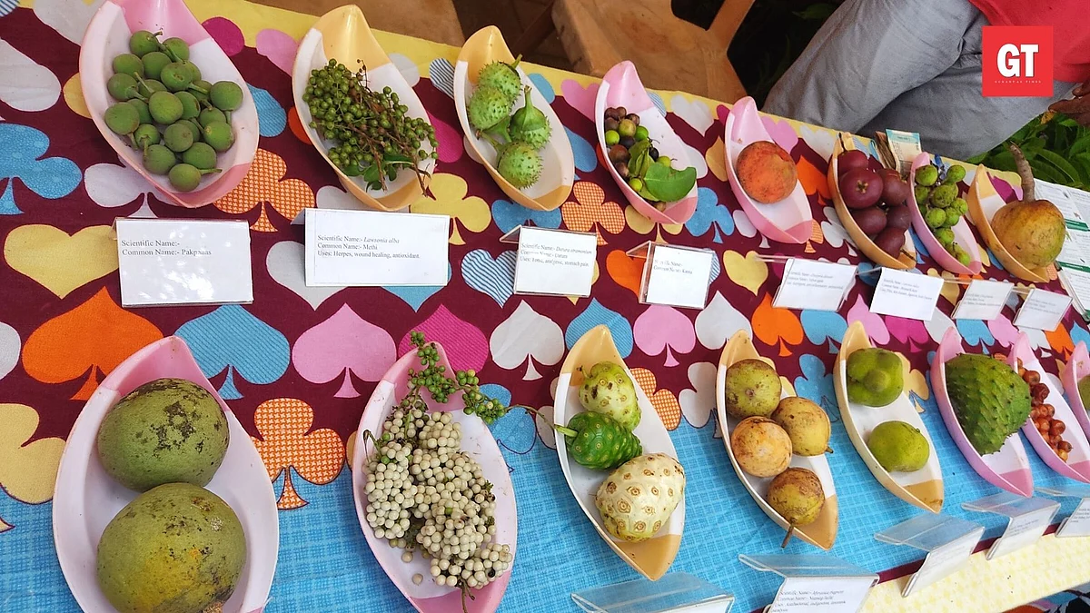 "We are trying to conserve Rivona's Dipcadi Goaense (Hyacinthaceae)"