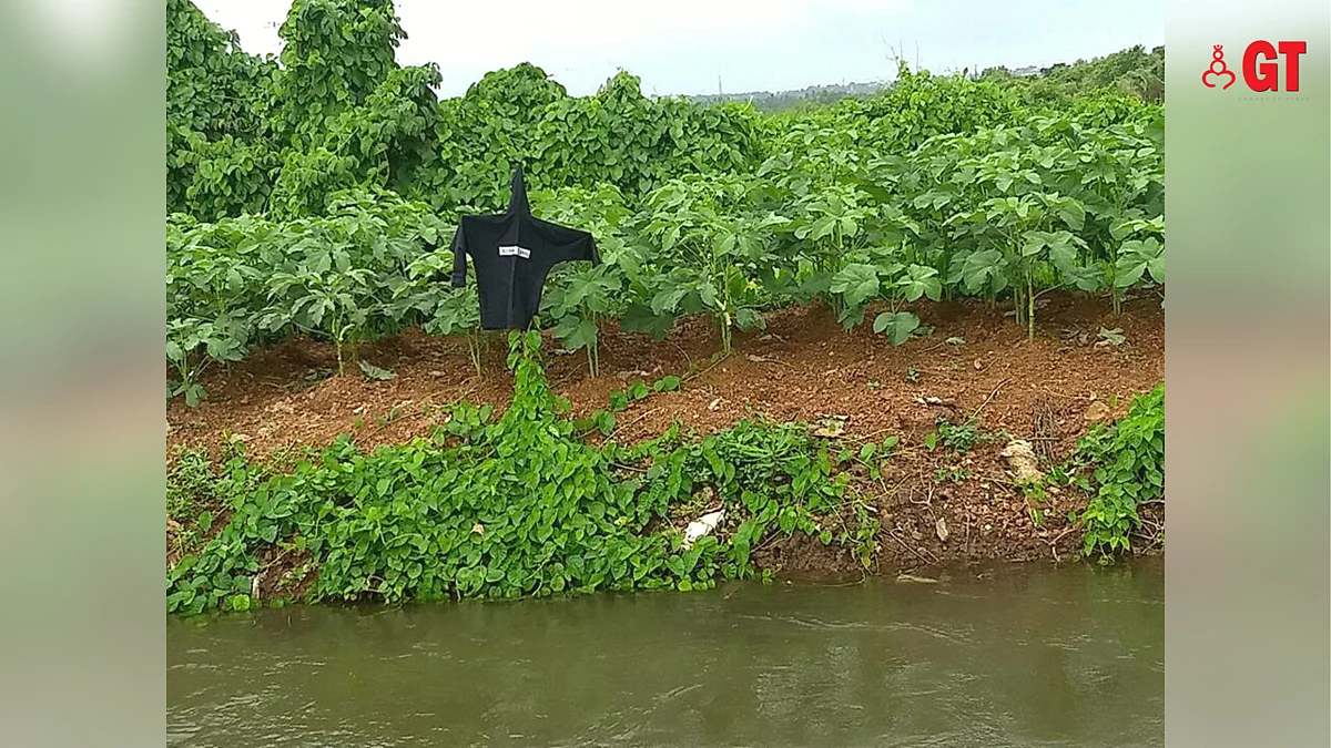 The monsoon hath cometh in Goa