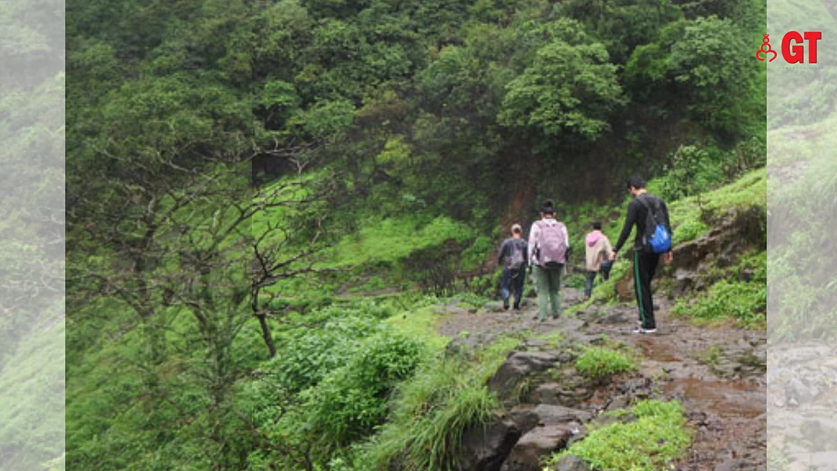 Go on a monsoon trek