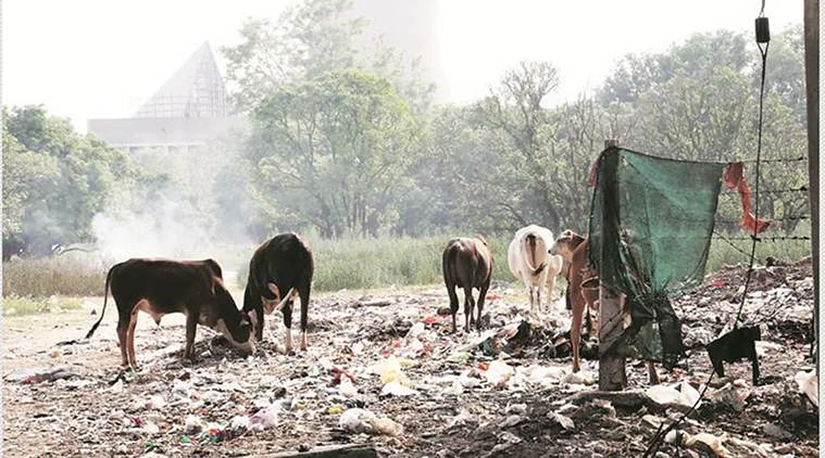 Chandigarh Municipal Corporation to soon make a policy for door-to-door garbage collection