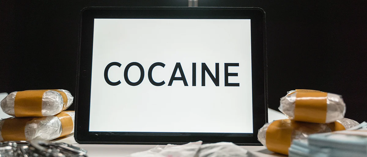 Goa police destroy 30 kg narcotics