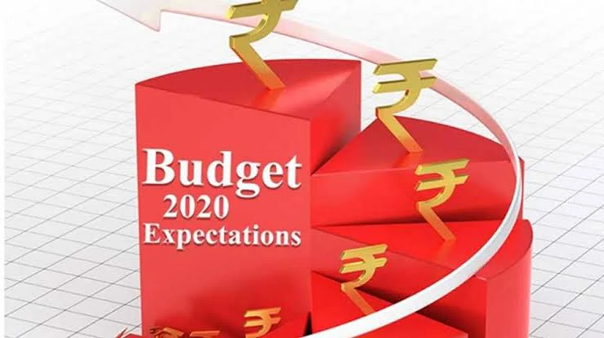 Budget reactions Goa reacts to Union Budget 2020