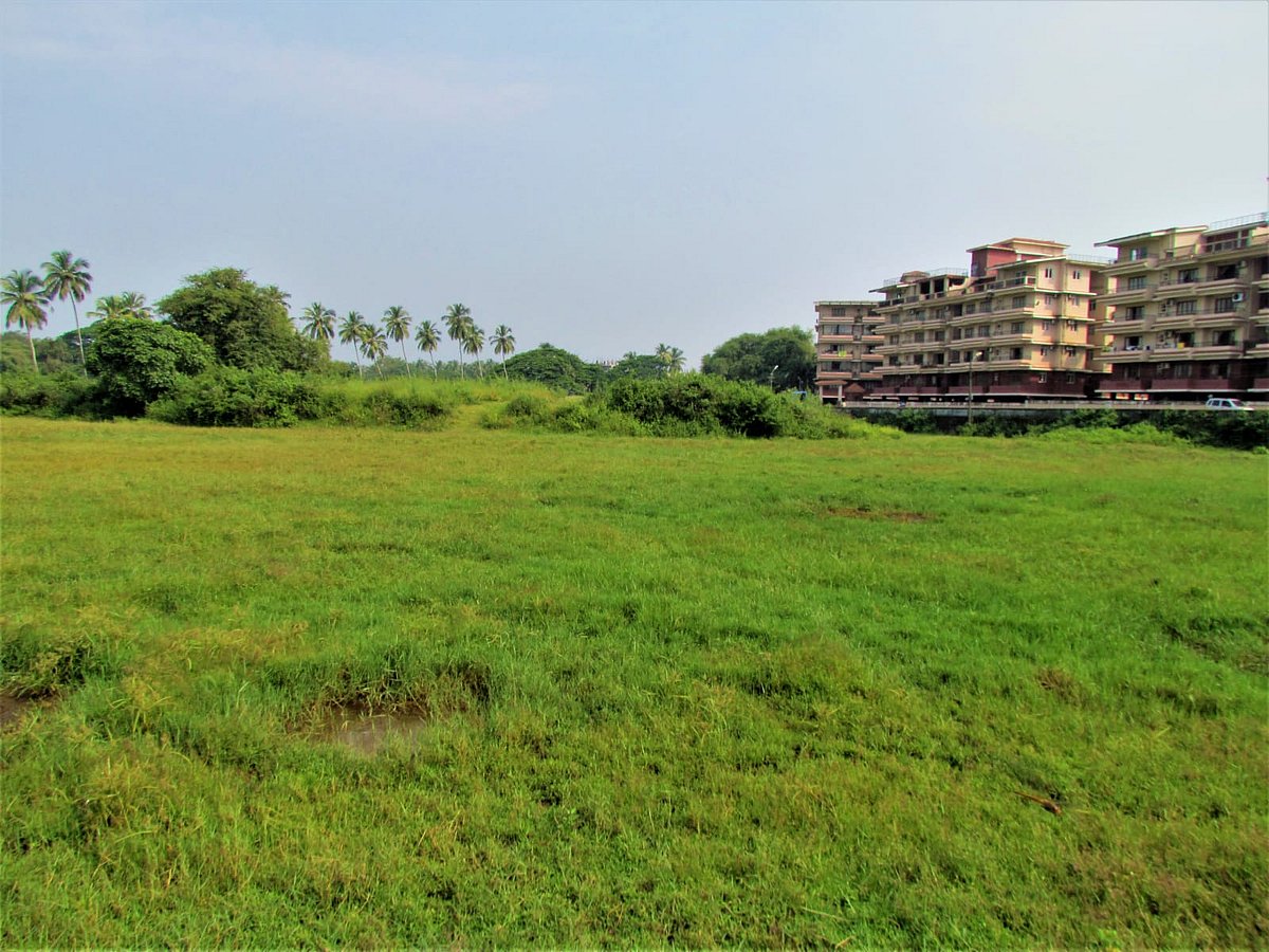 Craving for Goa’s sustainable development