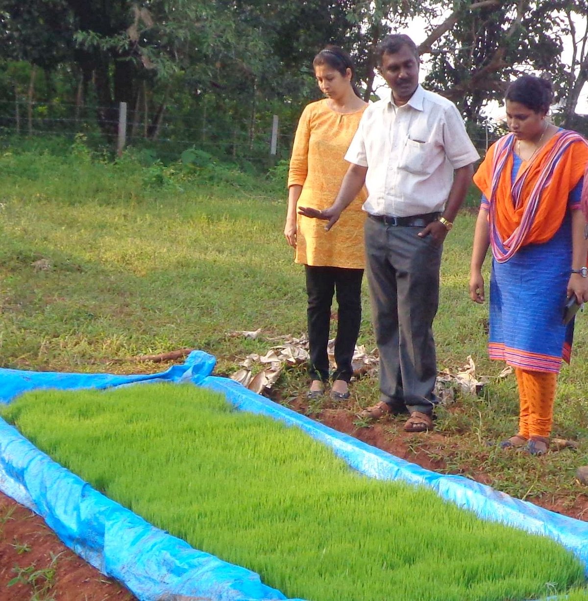Learning by teaching Embracing the green revolution in Goa