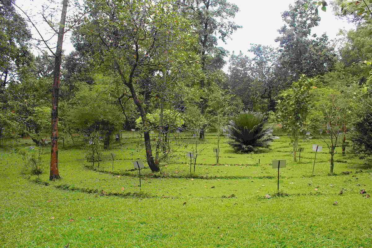 This ecofarm in Goa is a treat for the sensesNV Eco farmsGomantak Times