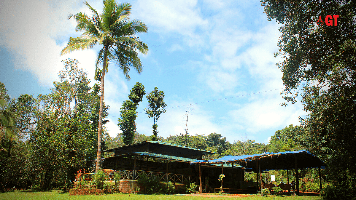 This Eco farm In Goa Is A Treat For The Senses NV Eco Farms Gomantak Times this-eco-farm-in-goa-is-a-treat-for-the-senses-nv-eco-farms-gomantak-times