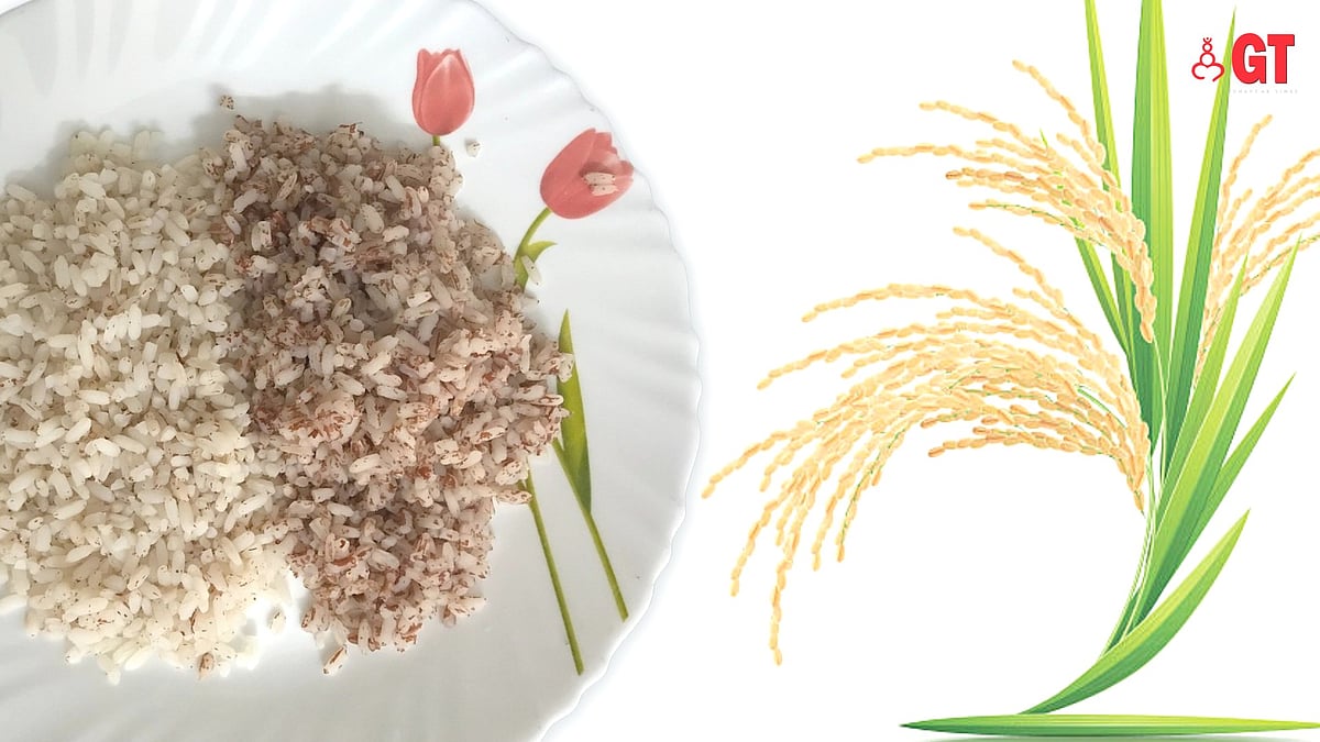 Is Goa’s parboiled rice the same as ‘brown rice’?