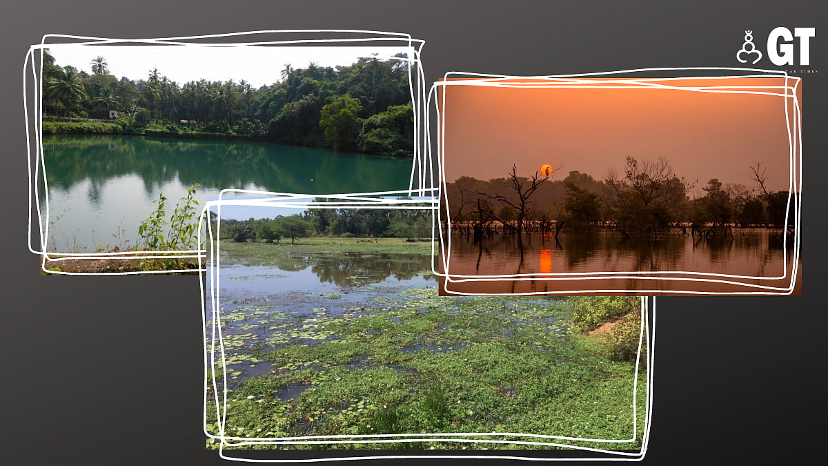 Water dispute brings importance of wetlands to the fore | Gomantak Times