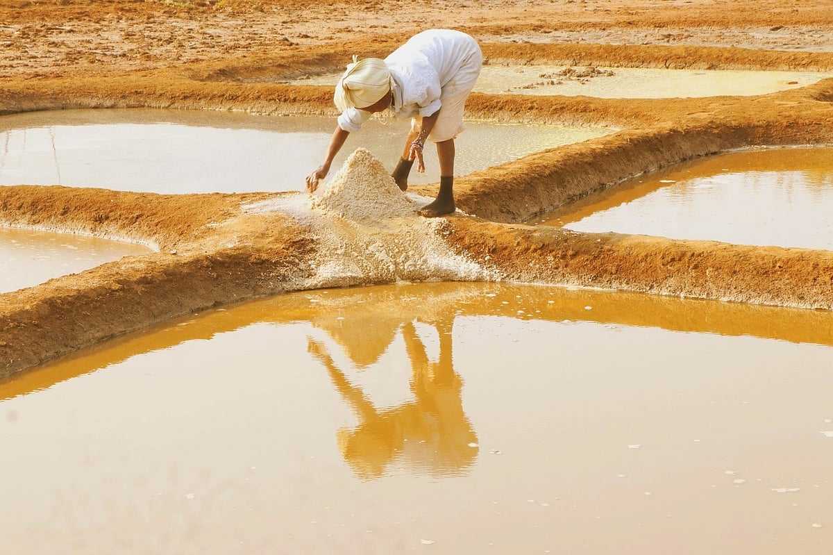 Hardwork and salty traditions of Goa | Gomantak Times