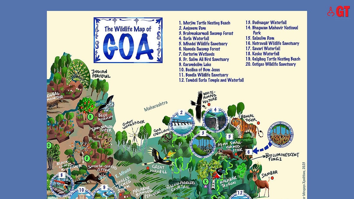 Glance through Goa’s flora and fauna with ‘The Wildlife Map of Goa’