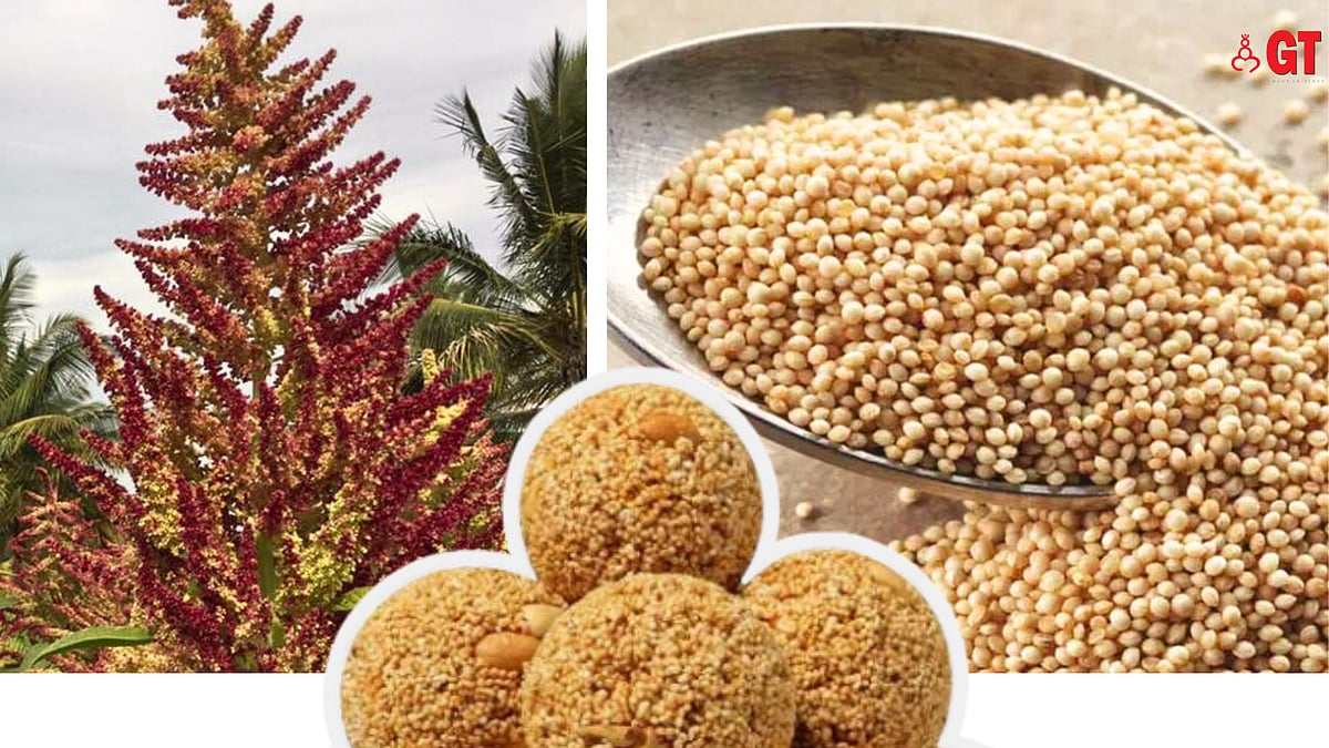 World Food Day Goa and a pseudo millet called ‘rajgira’