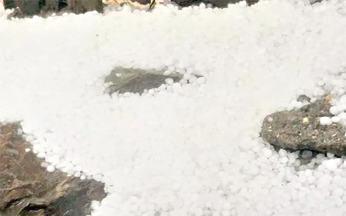 Orchards, standing crops damaged in Kupwara