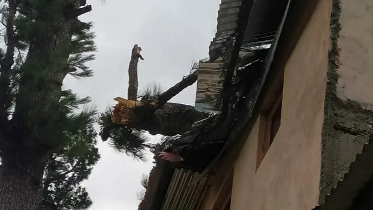 In Ramsoo sub-division, a tree reportedly fell on the rooftop of Government Higher Secondary School Khrarwan Neel area.