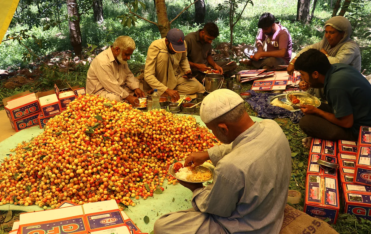 Horticulture generates Rs 10,000 cr revenue annually