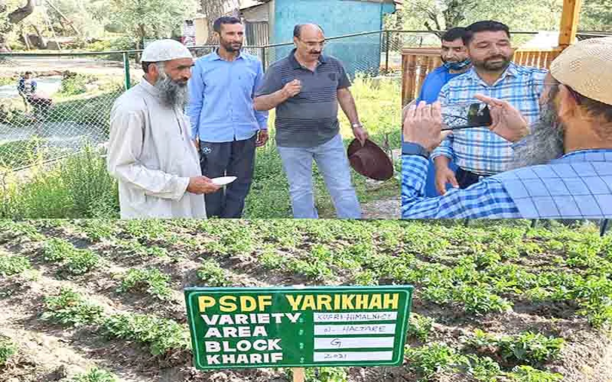 Dir Agri Kashmir visits Potato SMF Yarikah, Tangmarg