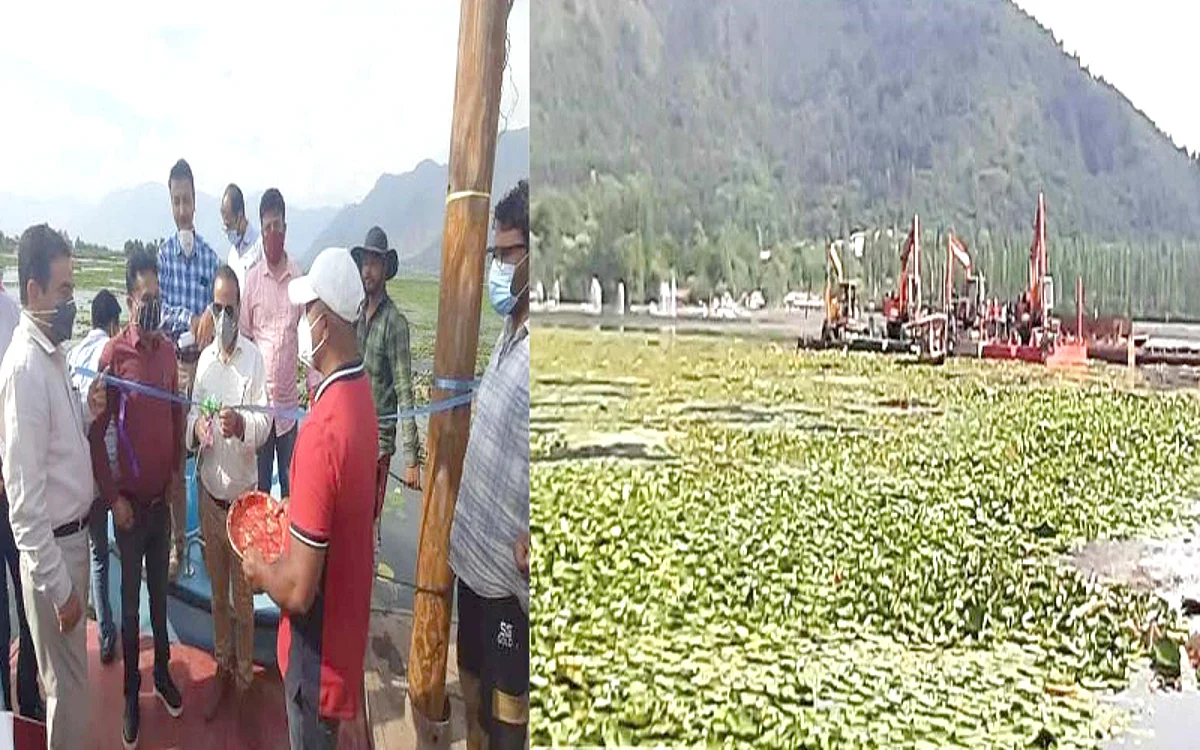 LAWDA starts scientific extraction of Lily to stop its regrowth