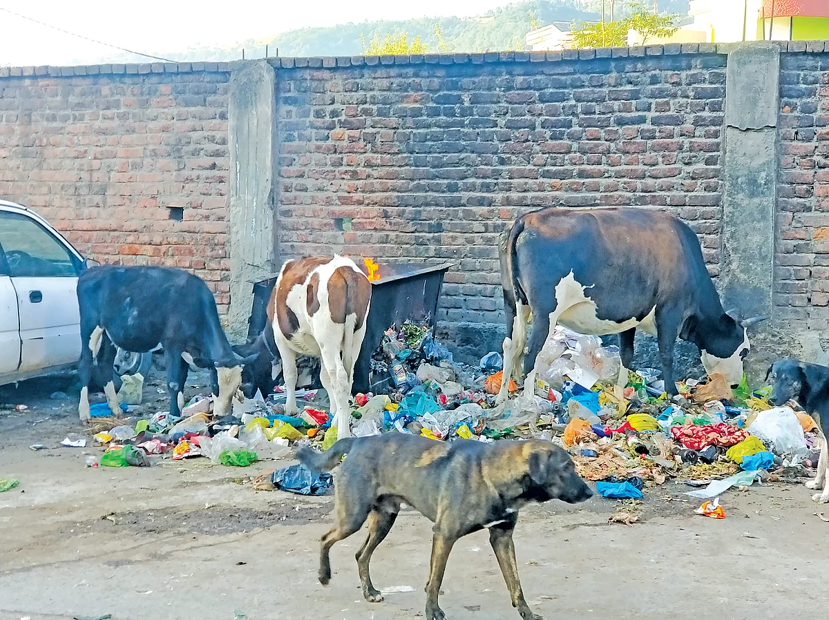 Rajouri town facing difficulty in garbage disposal