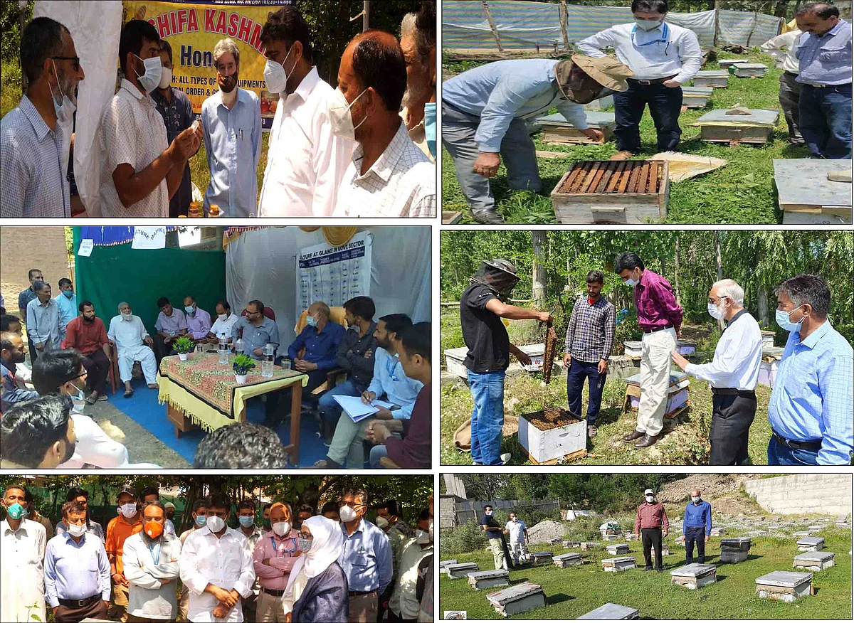 Apiculture Mapping Day held