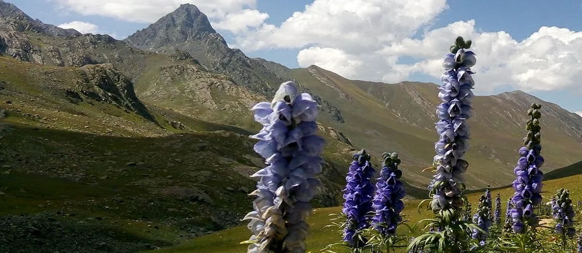 Tourist destination Sonamarg in Ganderbal.