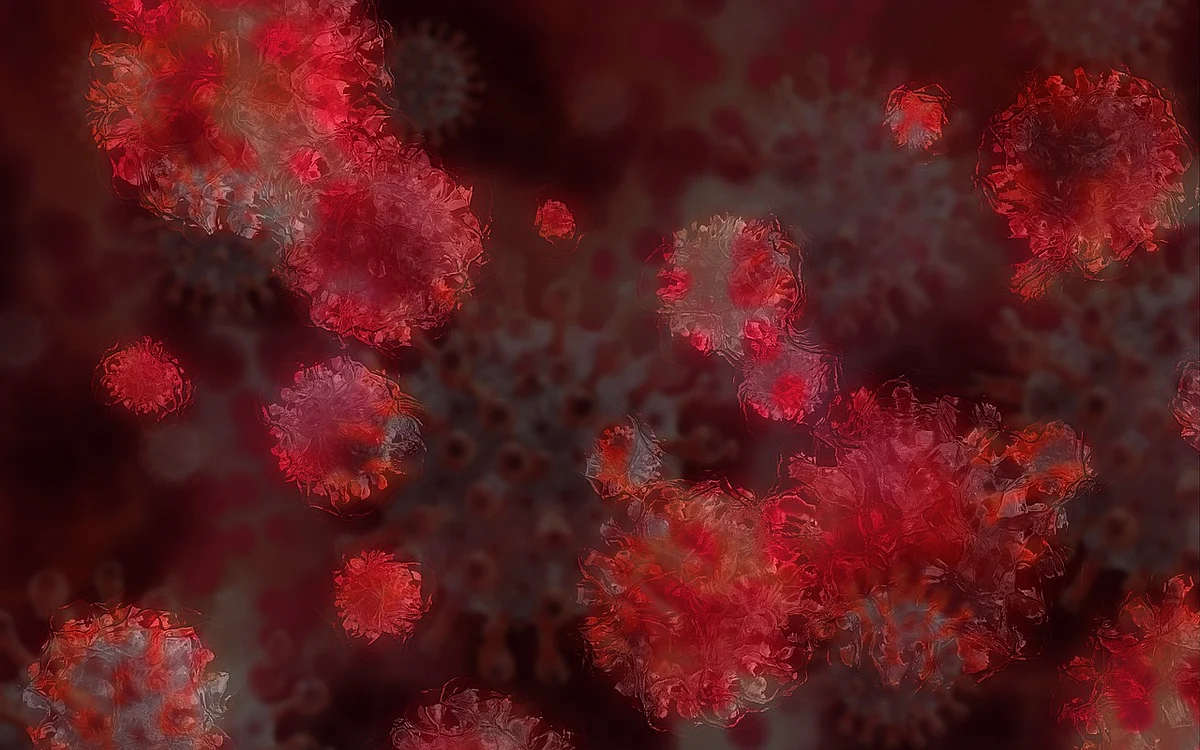 Nonagenarian woman infected with both Alpha, Beta Coronavirus variants dies