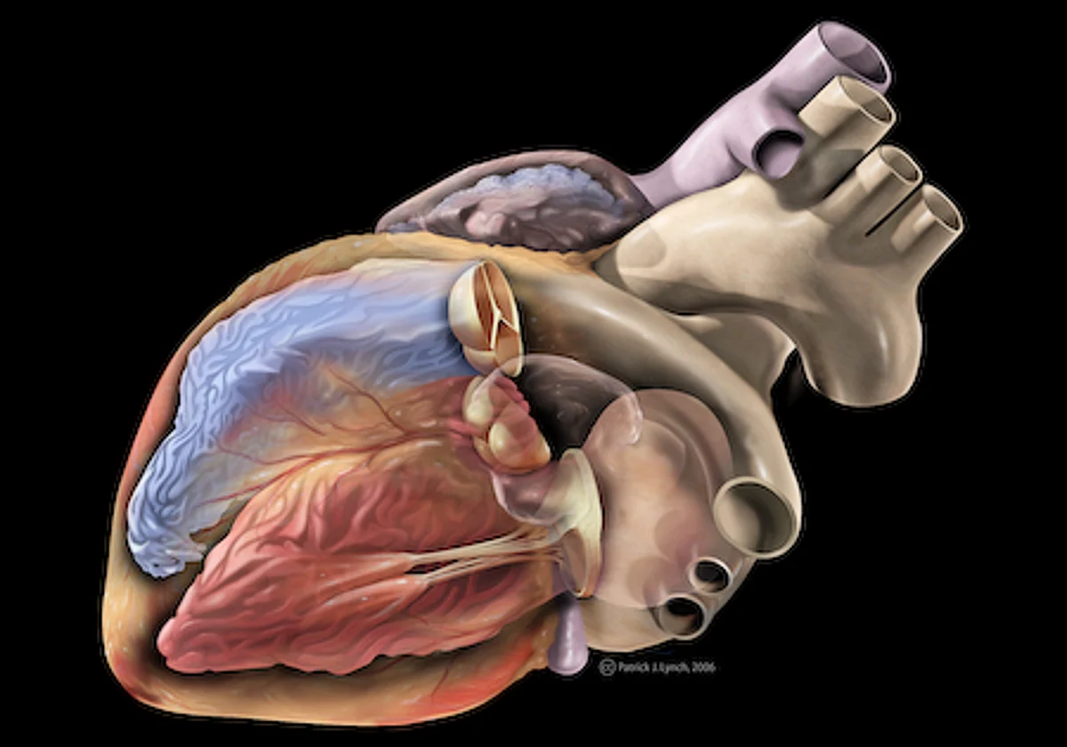 Usefulness of Biomarkers for Acute Heart Diseases