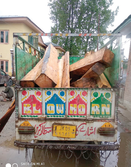 Illicit timber seized in Kupwara, 2 arrested: Police