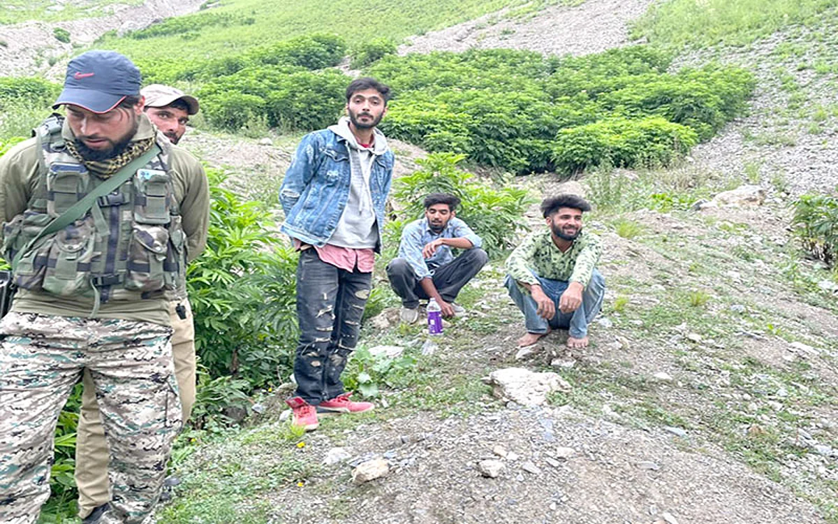 3 youth rescued after losing track on Sonamarg mountain peak: Police