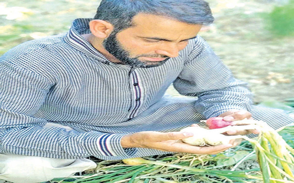 Pulwama farmer's date with progressive farming