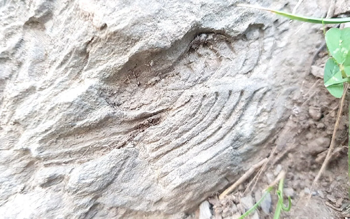 Authorities secure newly discovered Aharbal fossil site