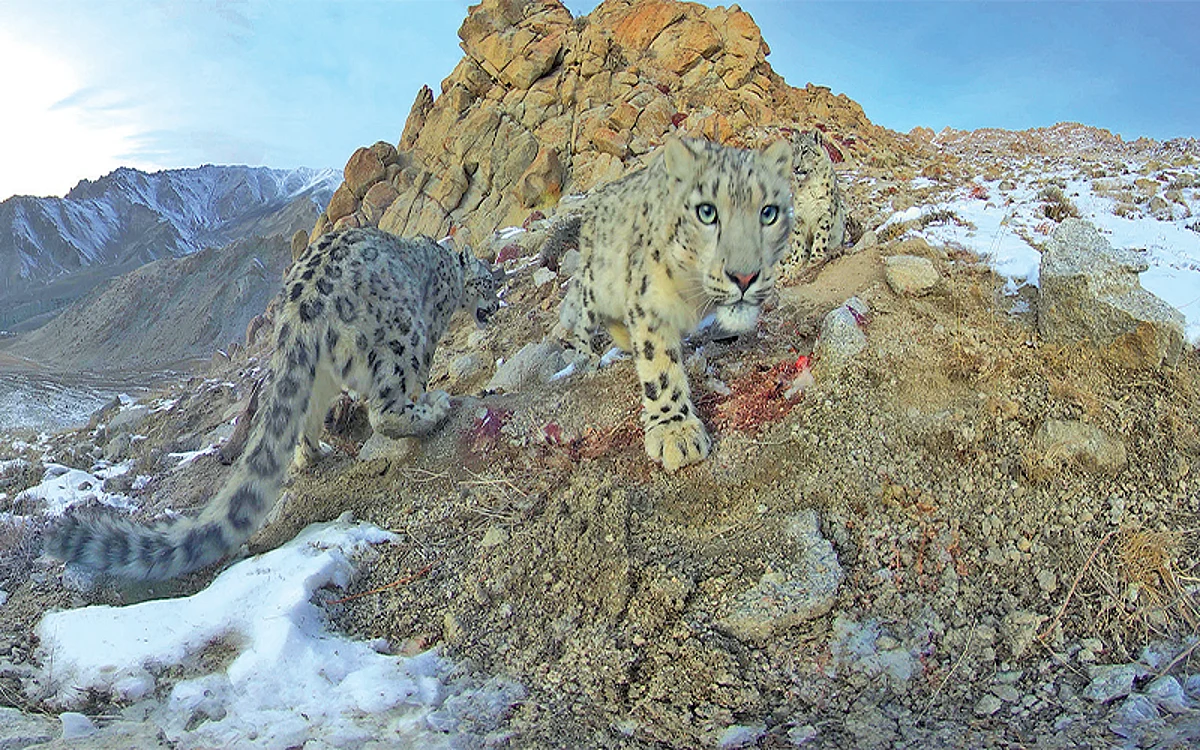 Towards conserving Ladakh