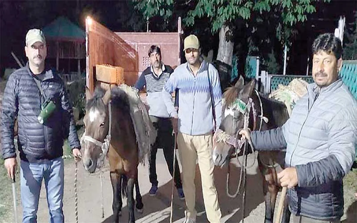 Illicit timber seized in Handwara: Forest Department