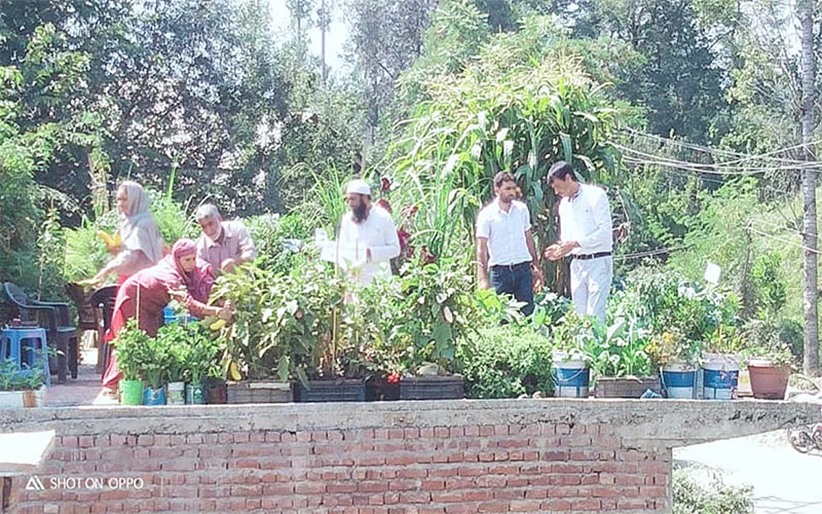Shopian farmer inspired by online video starts rooftop farming