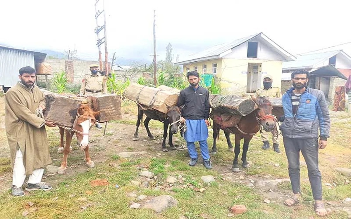 3 timber smugglers arrested: Police
