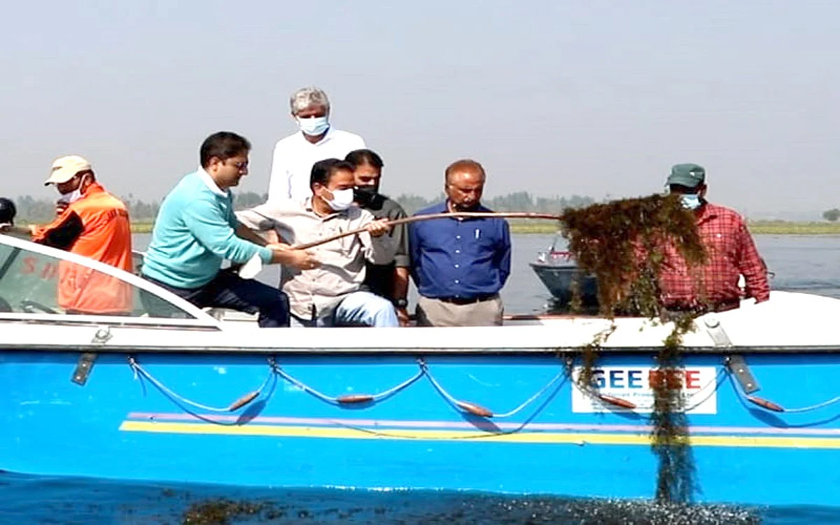 Mayor participates in de-weeding drive in Dal Lake