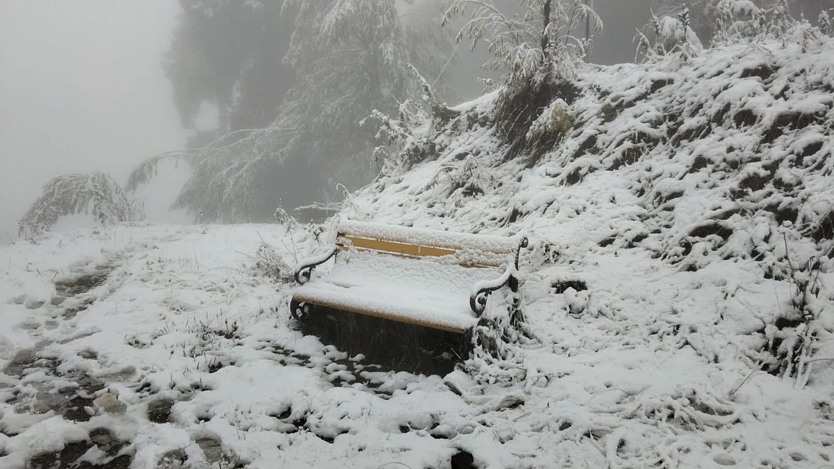 J&K: Fresh snowfall in higher reaches, rain in plains
