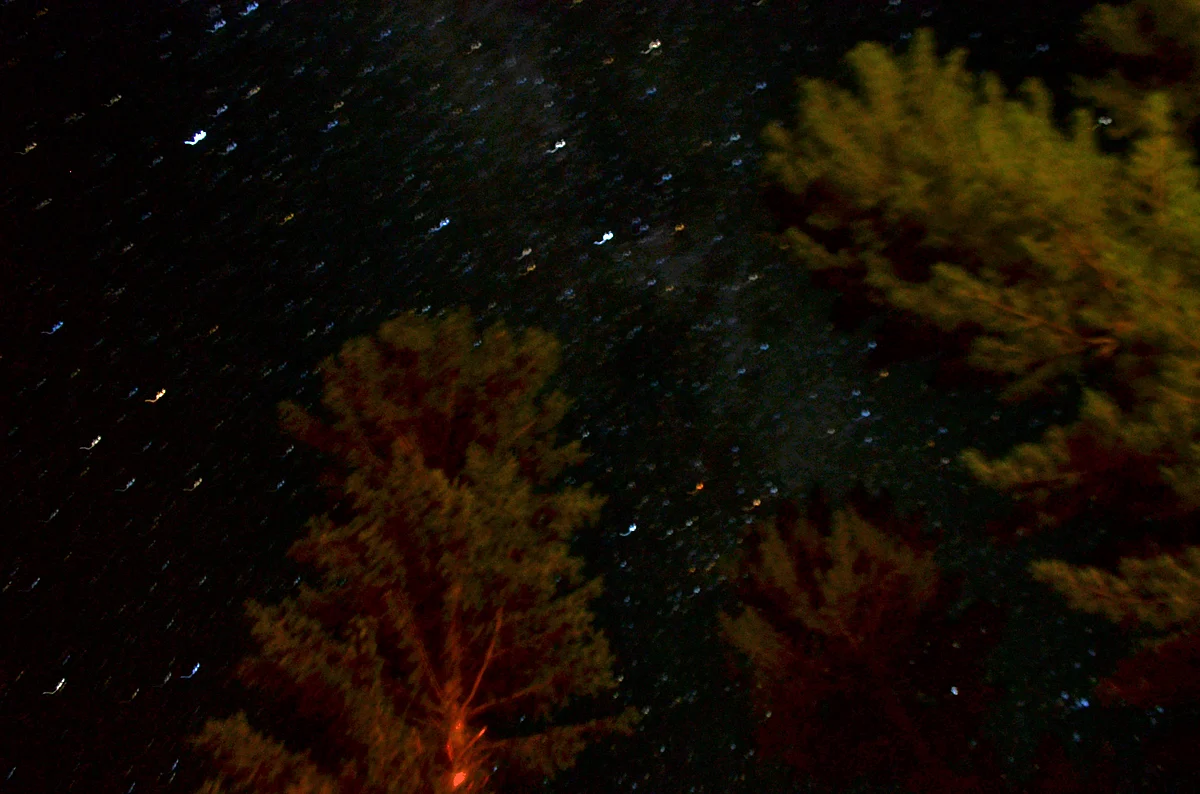 Looking at the stars