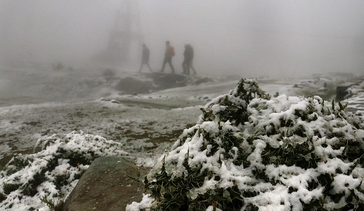 Kashmir upper reaches get season's first snowfall