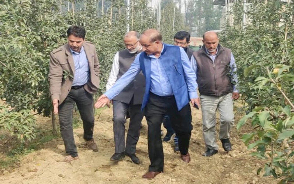 Expedite harvesting of fruits: DG Horticulture